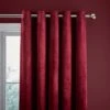 Catherine Lansfield Kingsley Matt Velvet Eyelet Curtains